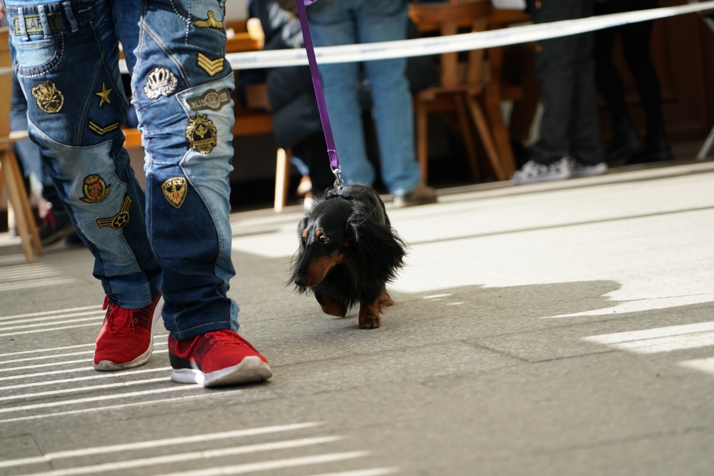 s_A9_09876.jpg